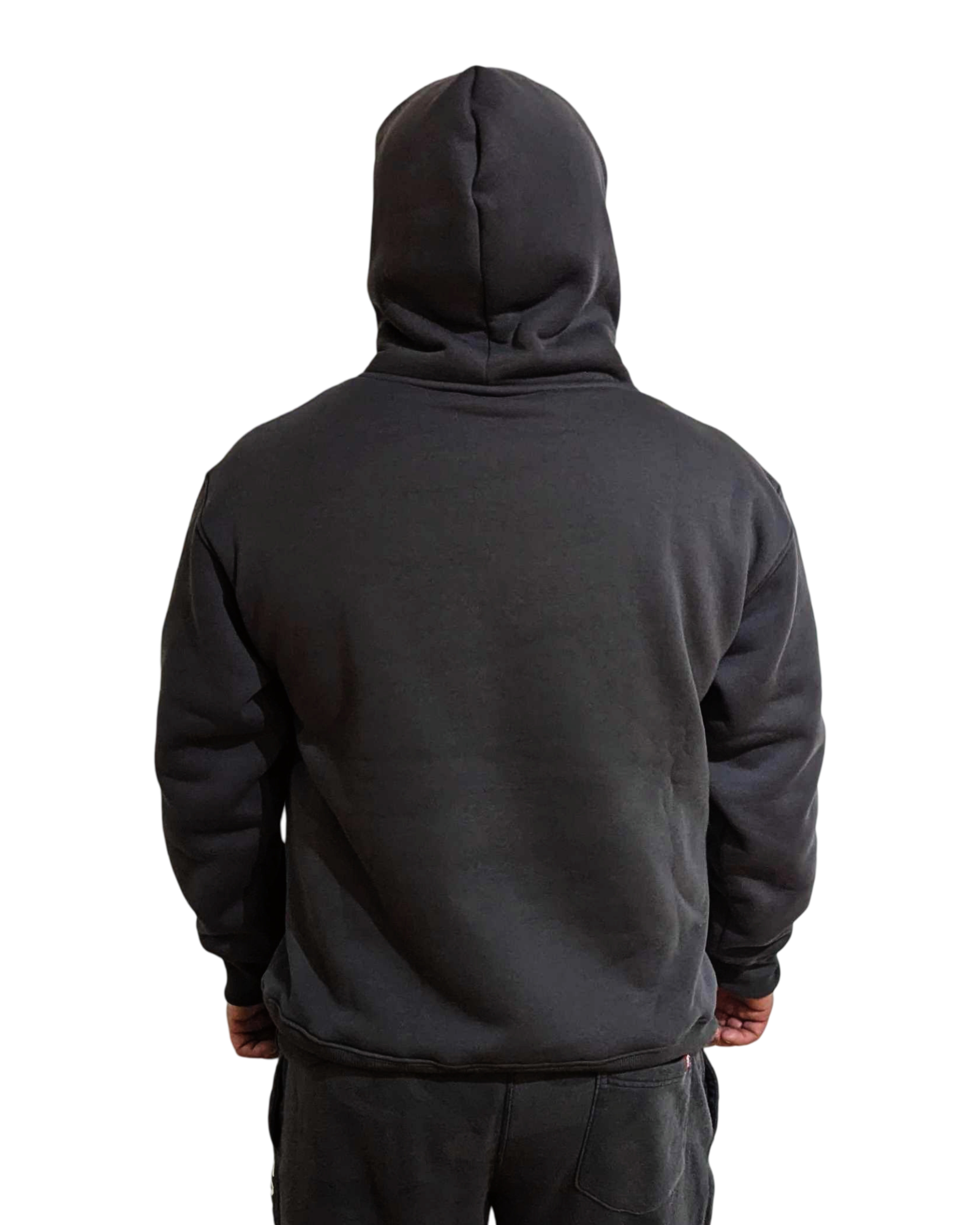 MSCv12 HOODIE