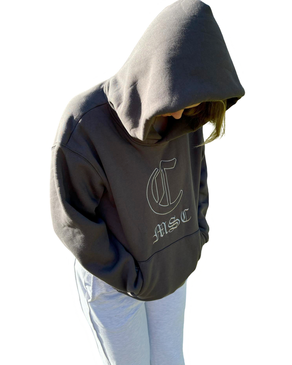 MSCv12 HOODIE